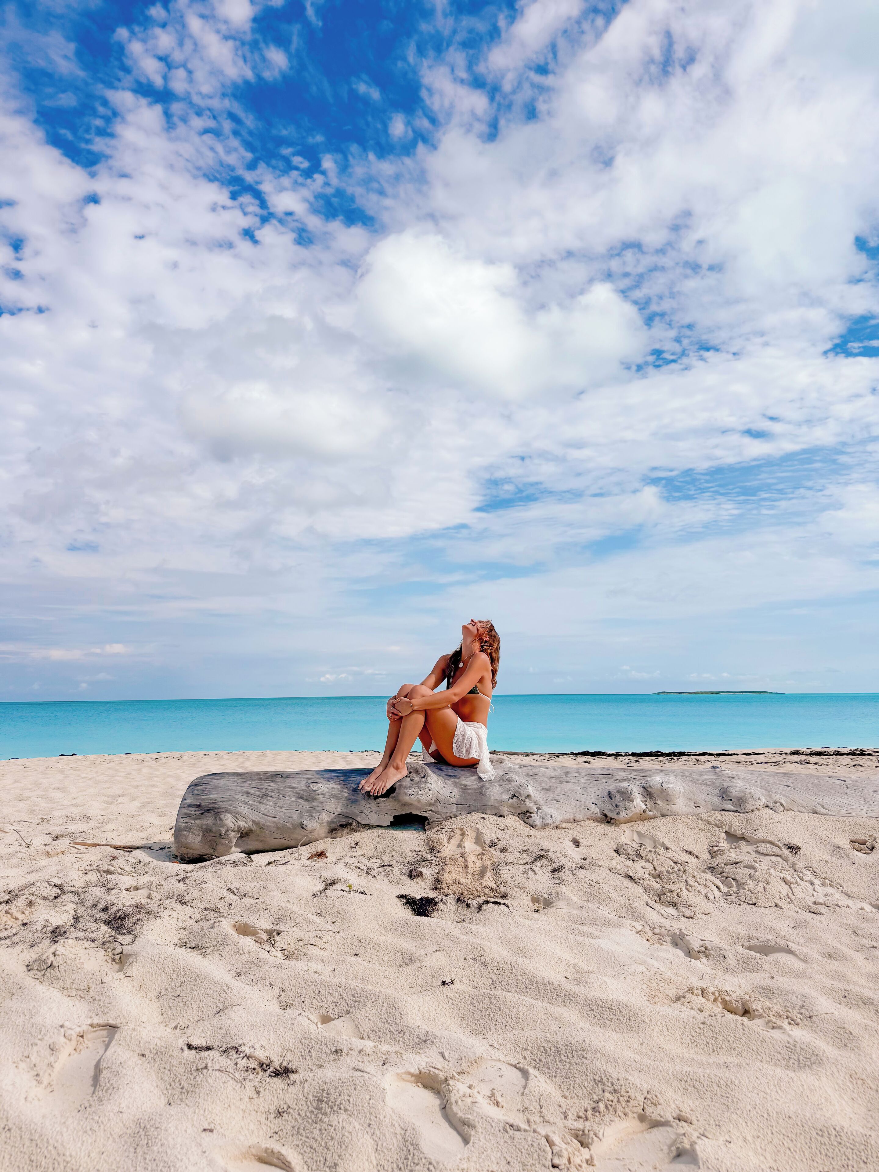 VO driftwood photo opp