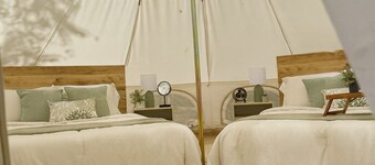 Secret Sycamore– Private Stargazing Glamping Tent with Fire Pit & Open Skies