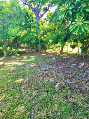 Property grounds - Spacious 3 Bedroom House With Backyard (North Miami Beach)