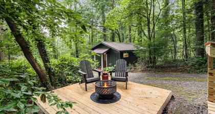 Resilience Road Cottage: Walk to Downtown Saluda, Close to Hiking & Activities!