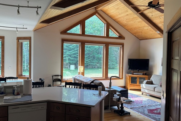 Televisión, chimenea