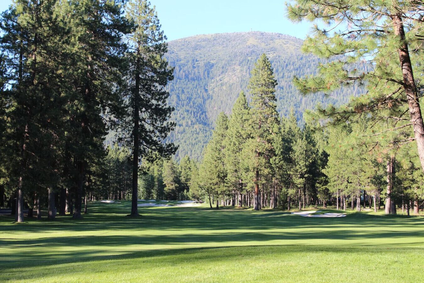 Um campo de golfe com montanhas arborizadas ao fundo.