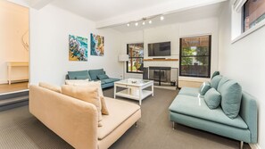 TV, fireplace, books