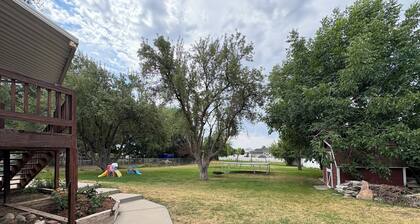 Spacious 1-Bedroom Basement Apartment