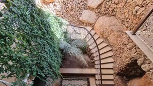 Una escalera de paredes de piedra con barandilla de metal, rodeada de exuberante follaje y una pequeña planta de palma.