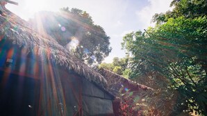 A thatched-roof structure with a metal door and a small window, surrounded by lush greenery. - Maloka Napu-Ecodestinos (Puerto Nariño)