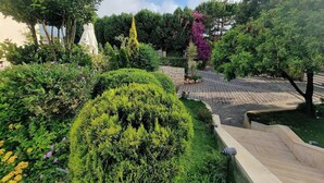Un jardín ajardinado con diversos arbustos y árboles, un camino de piedra y una escalera que lleva a un edificio.