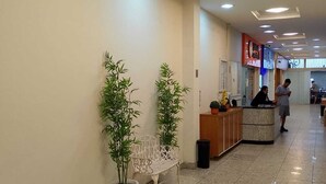 A clean, well-lit hallway with a reception desk, potted plants, and a bench. - Kitnet Apartment Copacabana (Copacabana Rio de Janeiro)