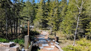 A stone pathway leading through a forested area with wooden posts and benches.