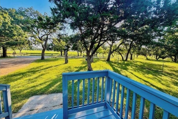 Àrea exterior de l'allotjament