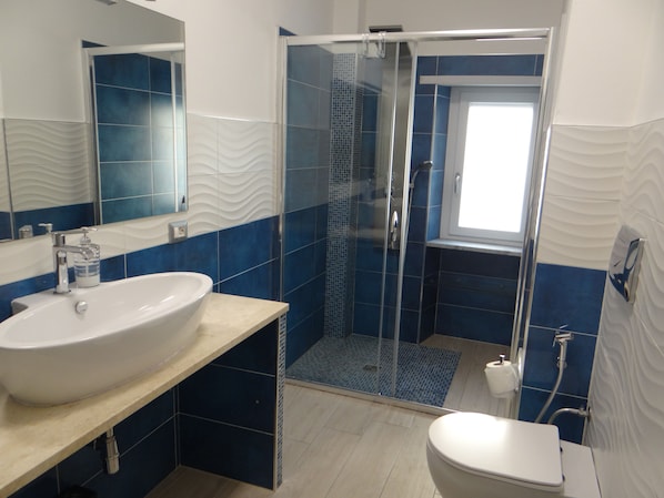 Shower, hair dryer, bidet, towels