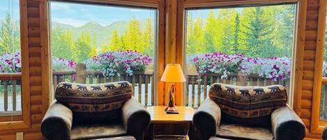 TV, fireplace, books