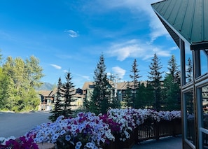 Terrain de lâhĂ©bergement