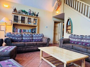 TV, fireplace, books