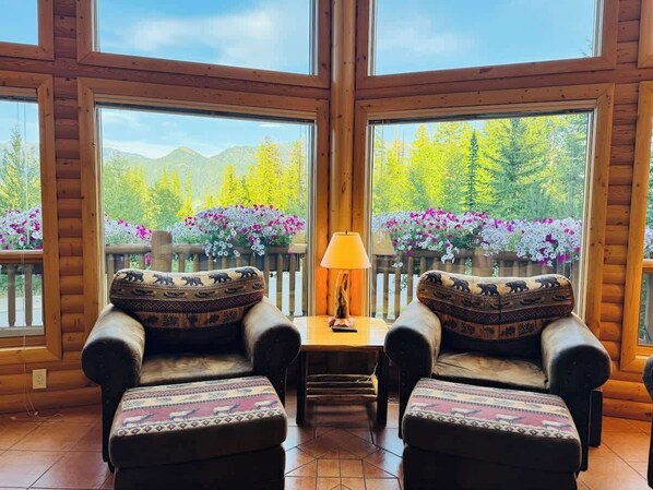 TV, fireplace, books