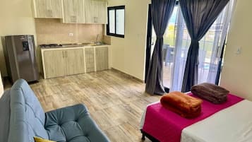 1 habitación, wifi y ropa de cama