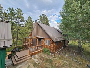 A log cabin with a porch, a small deck, and a metal roof.