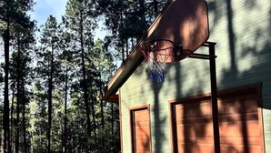 A basketball hoop attached to a building with a garage door, surrounded by a forest.