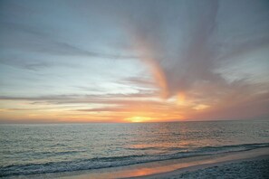 Beach - Tranquil OASIS (Sarasota)
