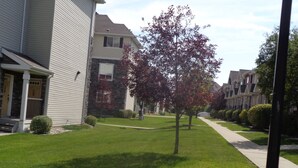 A residential street with houses, a tree, and a sidewalk.