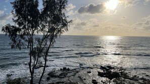 A coastal scene with a tree in the foreground and the ocean in the background.