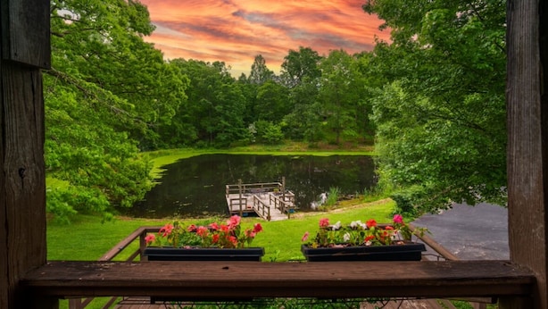 Een houten terras met uitzicht op een vijver, omringd door weelderige begroeiing en een houten brug.