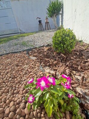 Área da propriedade