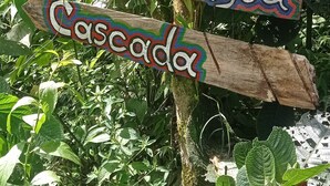 A wooden sign with the text "Olo de Agua Cascada" amidst lush greenery. - Cabin in the Salento cloud forest (Salento)