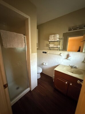 Shower, towels, soap, toilet paper - Delightful 4-bedroom house in Lake Hamilton with boat dock (Lake Hamilton)
