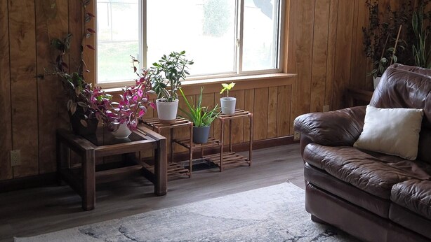 Una habitación con paredes de madera, un ventilador de techo, un ventanal grande, un sofá de cuero marrón y varias plantas en macetas.