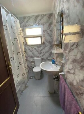 Hair dryer, soap, toilet paper