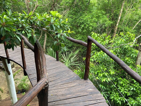 Property grounds - Tulum Jungle House with Swimming Pool - Relax and Spiritual Connection (Macario Gómez)