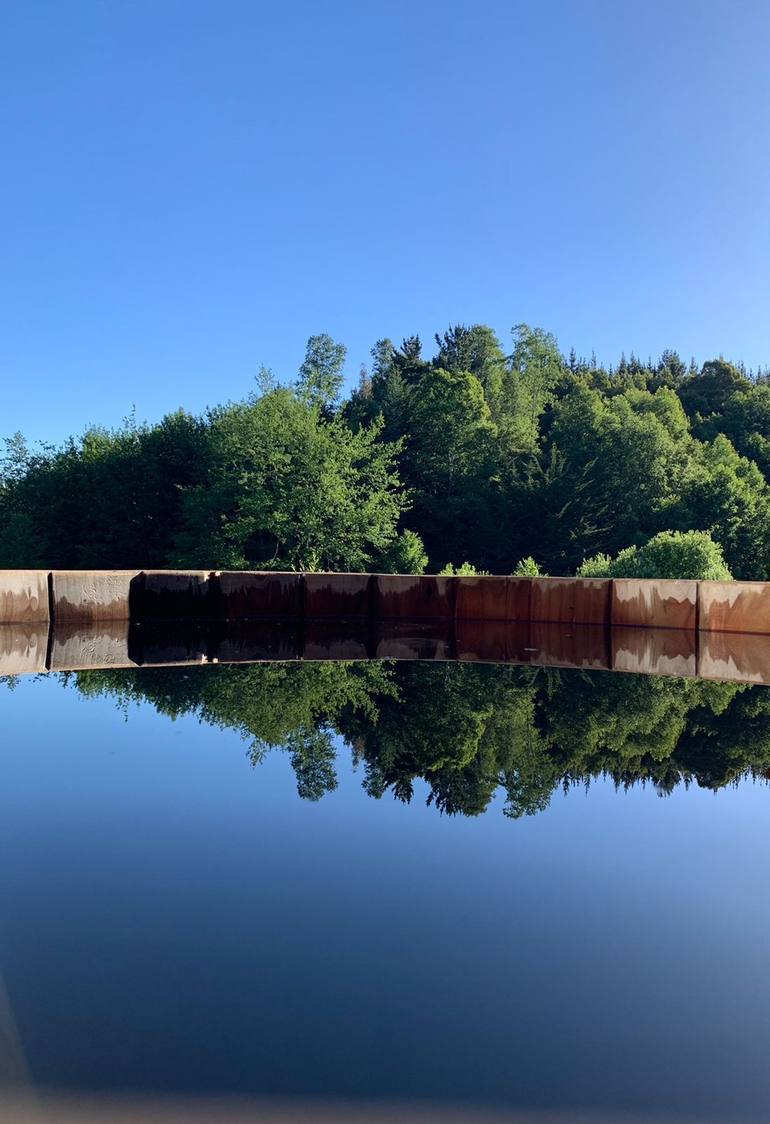 A calm body of water reflecting a forest and a rusted metal structure.