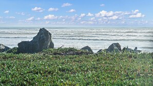 Dobbeltrom, 1 kingsize-seng, sjøutsikt | Utsikt mot strand/hav