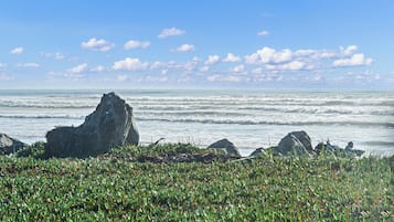Vue sur la plage/lâocĂ©an