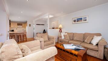 Smart TV, fireplace, books, stereo