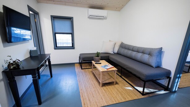 A modern living room with a sofa, a coffee table, a TV, and a small table with a plant.