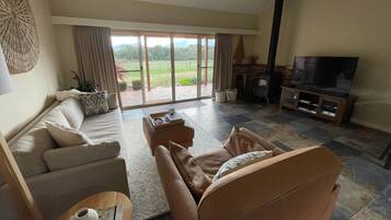 Smart TV, fireplace, books