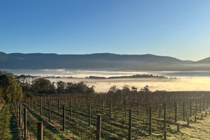 Miscellaneous - Vista 2 drop the bags and look at the view (Yarra Junction)