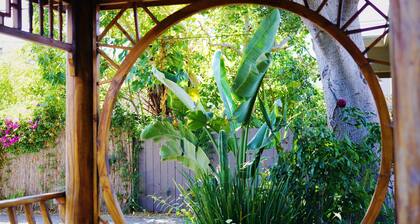 Tranquil house with beautiful garden in Emeryville