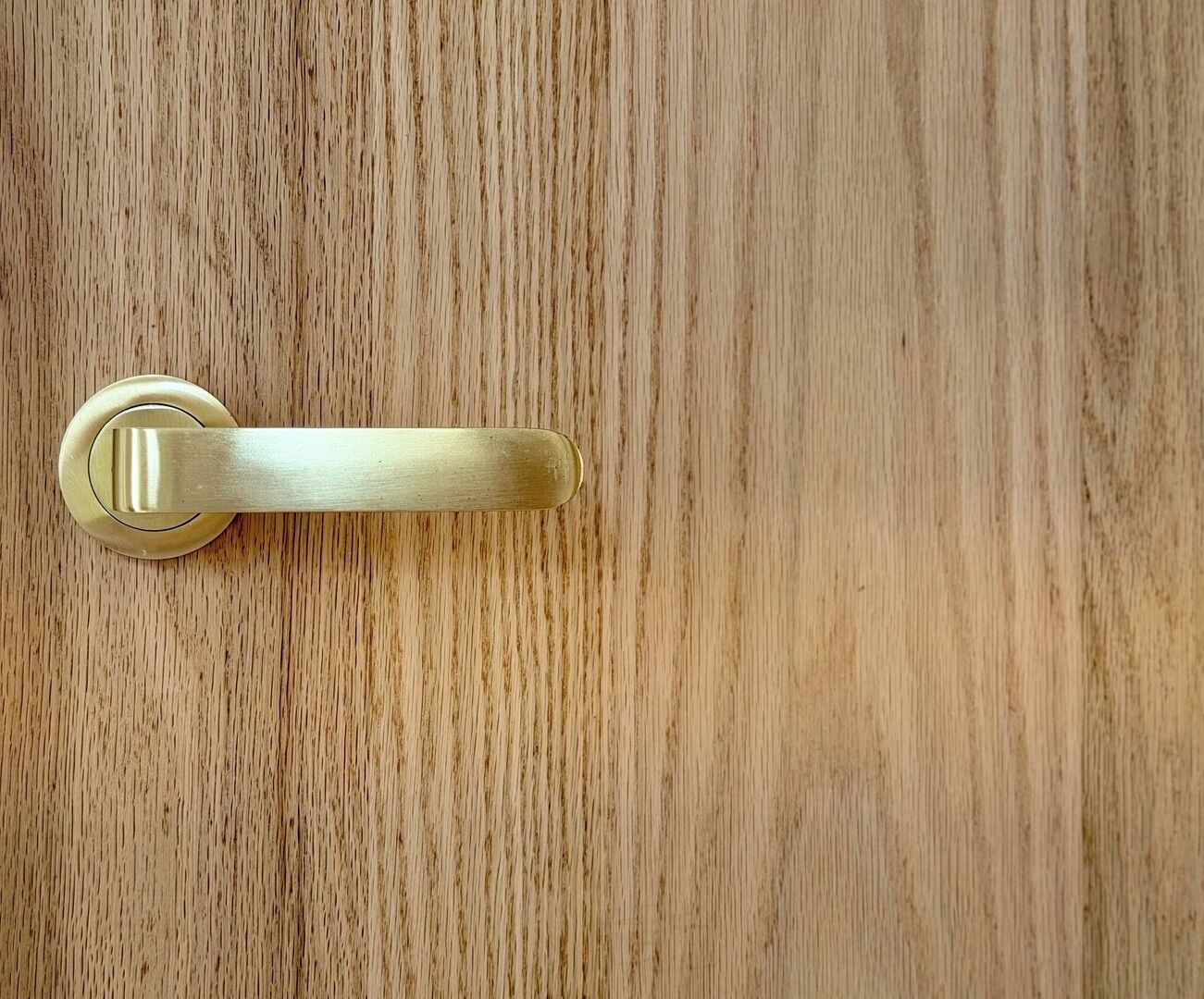 A brass door handle on a wooden door.