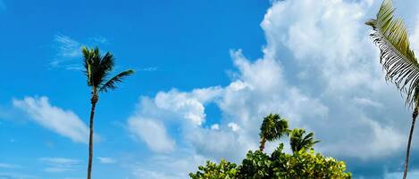 A beach with two white lounge chairs facing the ocean, palm trees, and a clear sky.