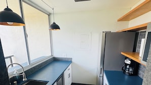 Una cuina compacta amb un rentaplat, fogó i cafetera.