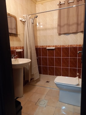 Ducha, toallas y papel higiénico