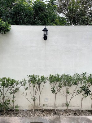 Detalle exterior