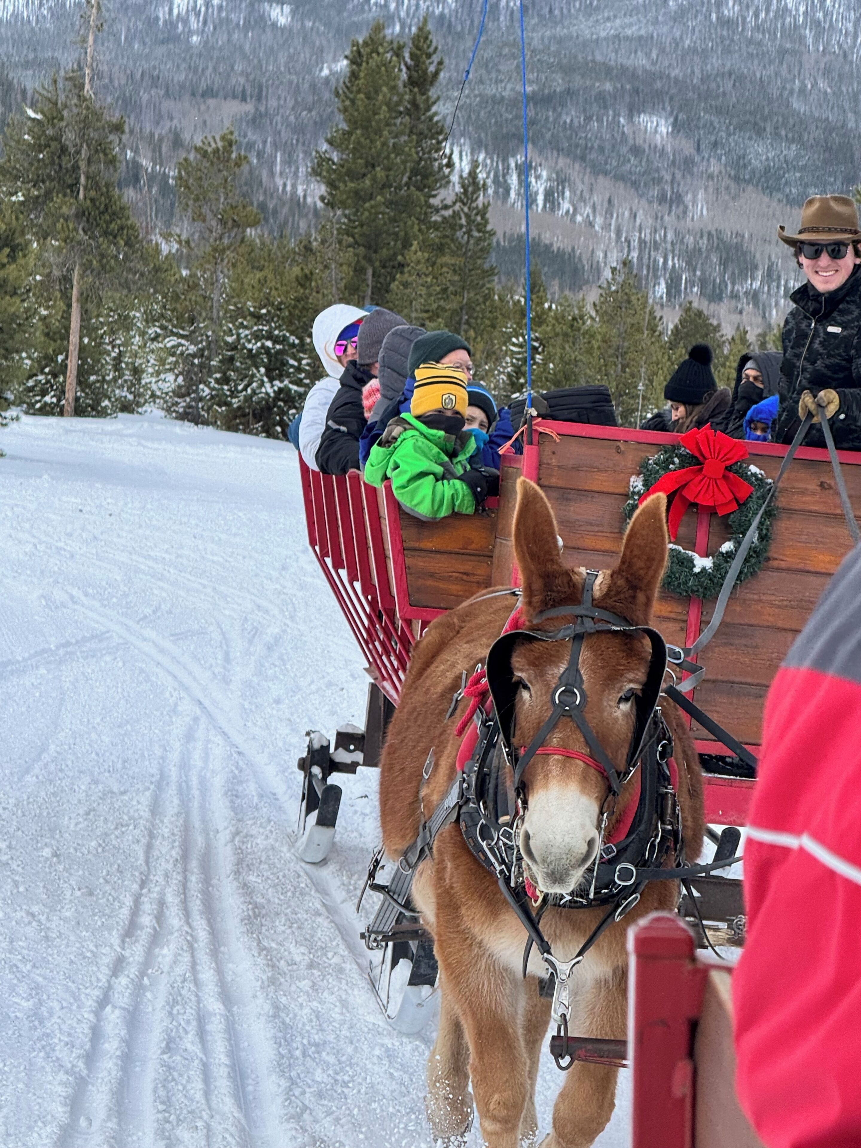 Un traîneau tiré par des chevaux sur un chemin enneigé, avec des passagers à bord.
