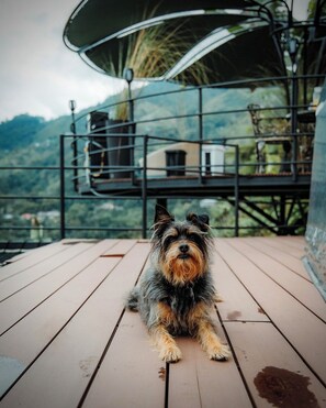 Deluxe Bungalow, Patio, Mountain View