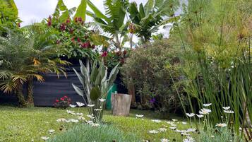 A garden with various plants and flowers, including white daisies and red flowers.