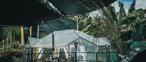 A covered outdoor area with a table and chairs, a grill, and a greenhouse structure.