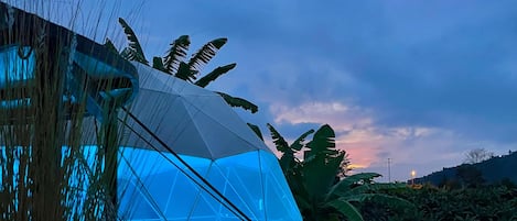 Deluxe Bungalow, Mountain View